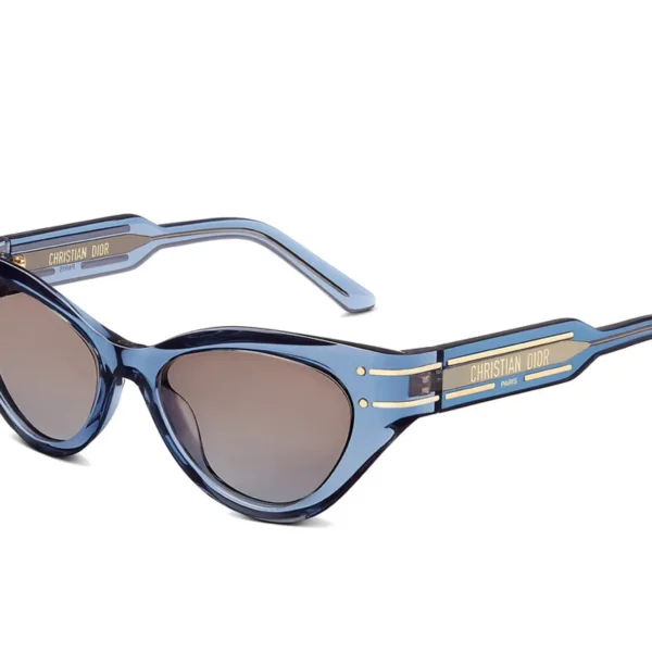 Diorsignature B7I