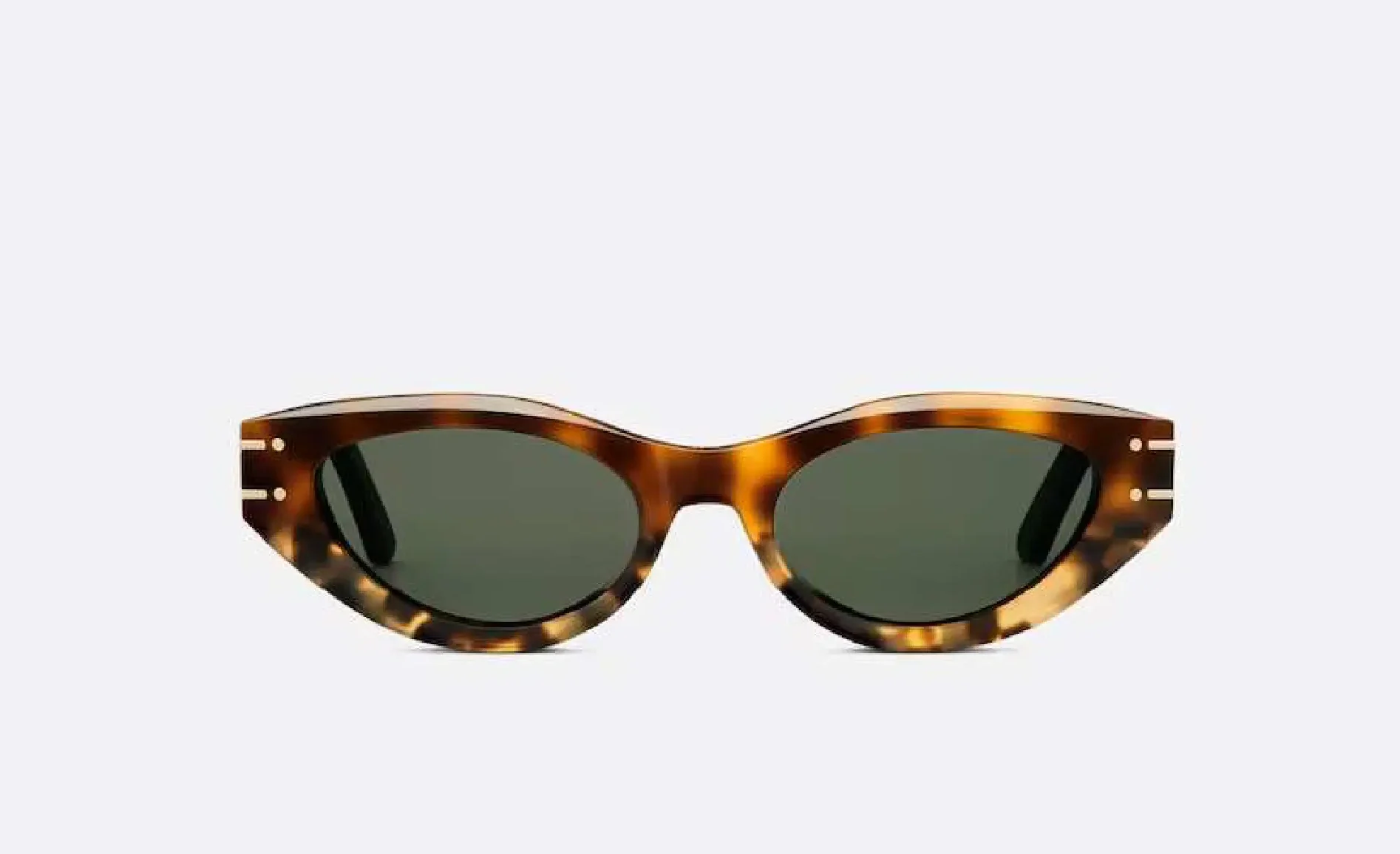Dior DiorSignature B5I