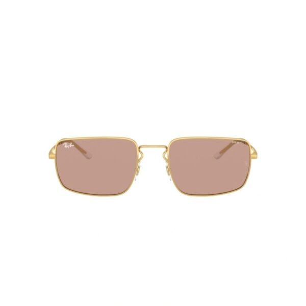 Ray Ban RB 3669