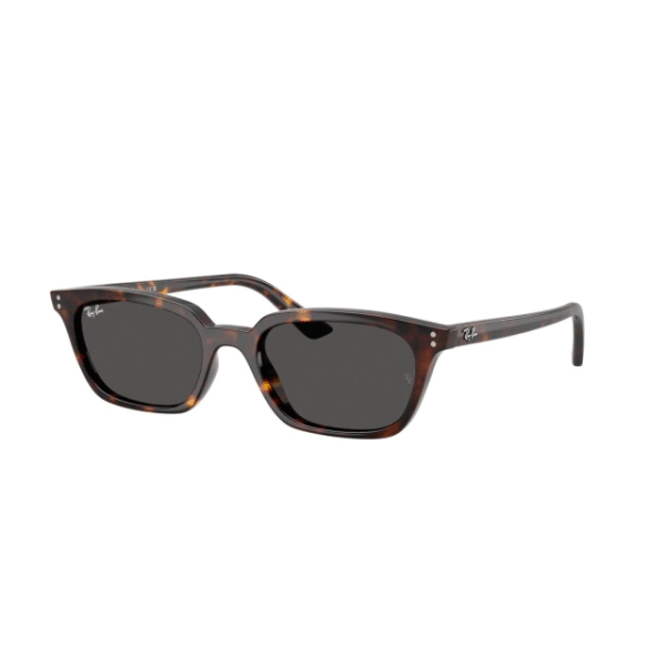 Ray Ban Zaya 4456 – Carey/gris liso