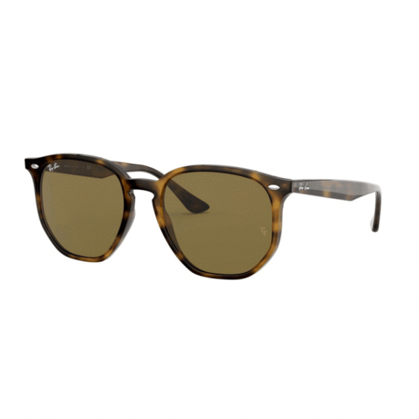 Ray Ban Hexagonal 4306 – Carey/marron liso
