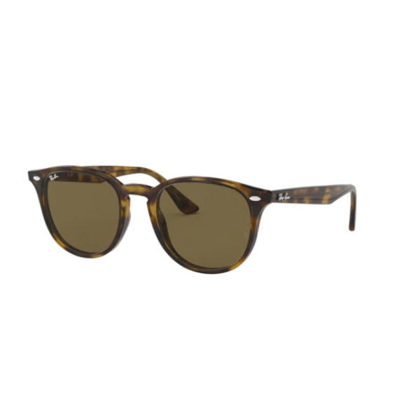 Ray Ban Highstreet 4259 – Carey/marron liso