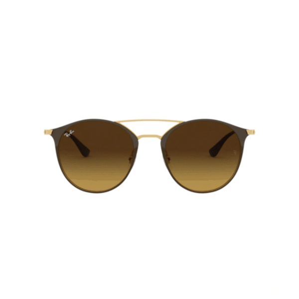 Round Shape 3546 - Marron mate/marron degrade
