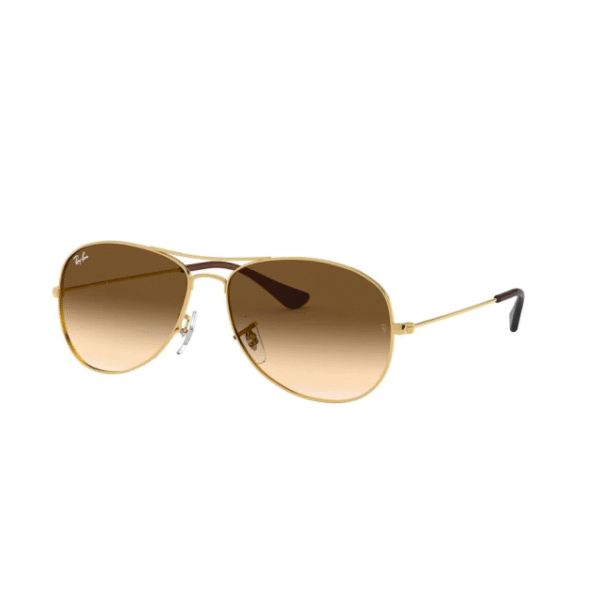 Ray Ban Cocqpit 3362 – Negro/verde