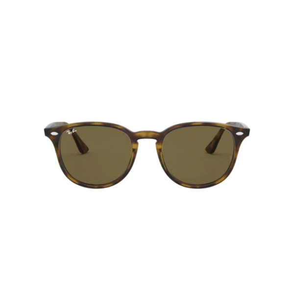 Highstreet 4259 - Carey/marron liso